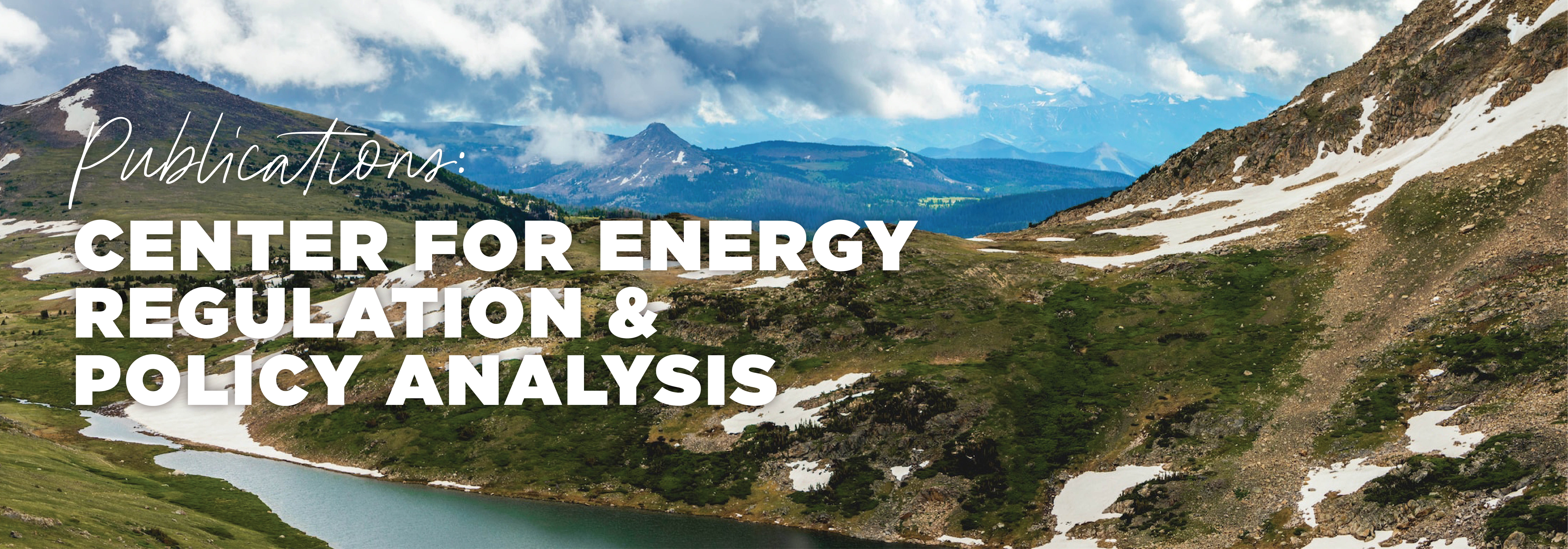 Publication areas: Center for Energy Regulation and Policy Analysis over research samples
