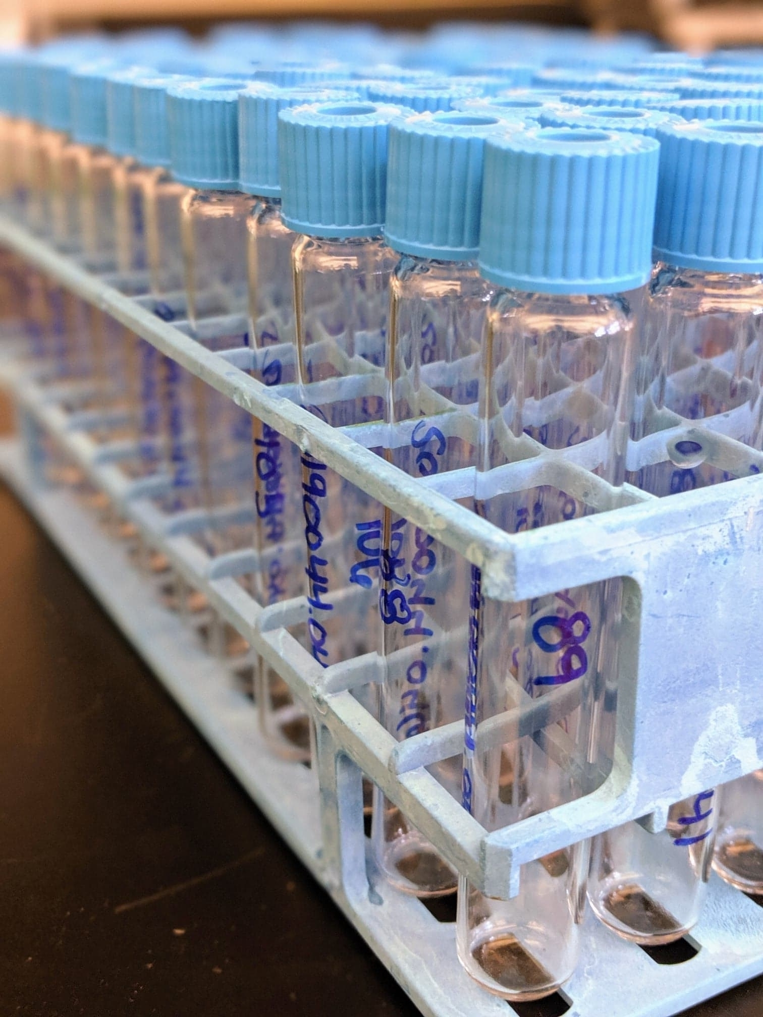 gas bench vials