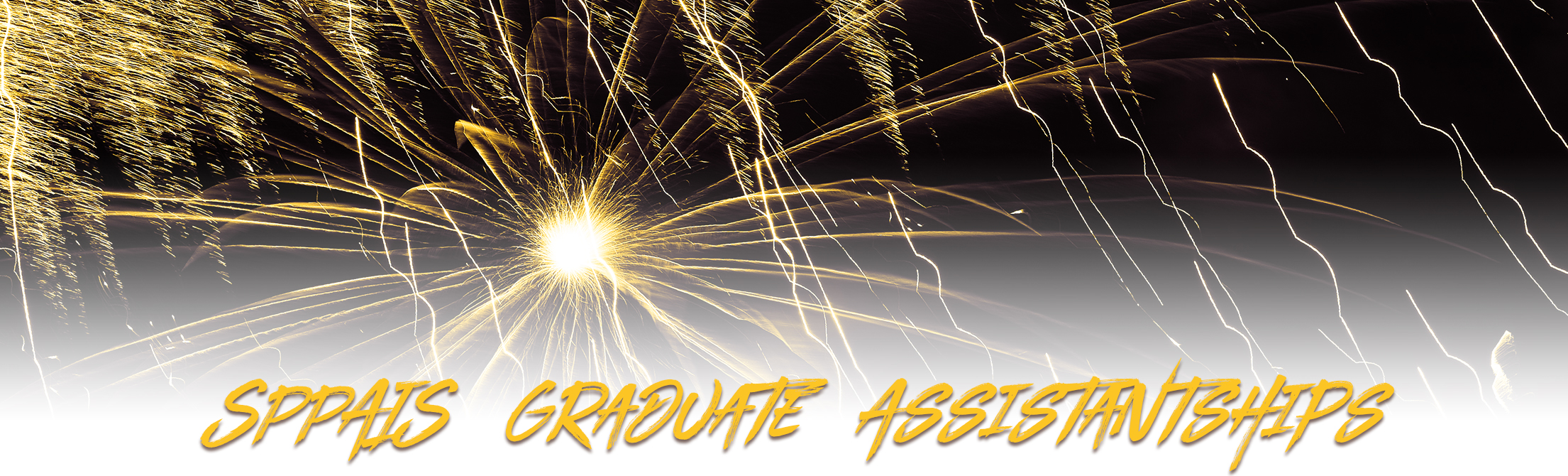 brown and gold fireworks sppais graduate assistantships school of politics public affairs and international studies