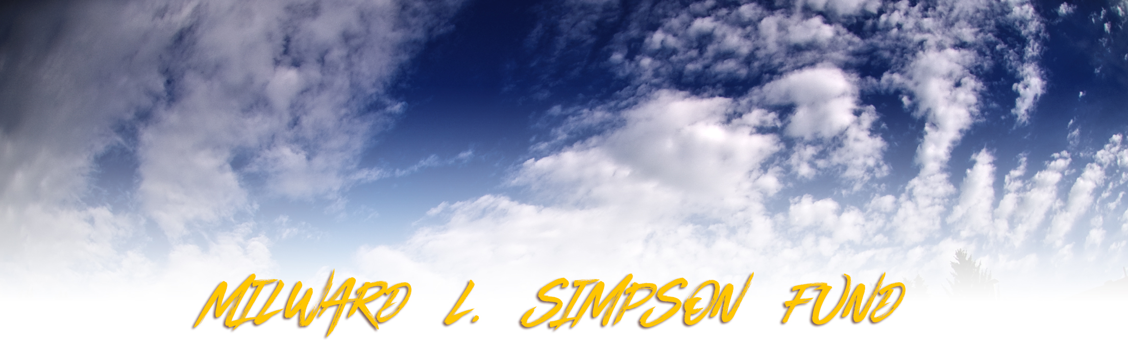the simpson fund from SPPAIS can help you reach for the sky