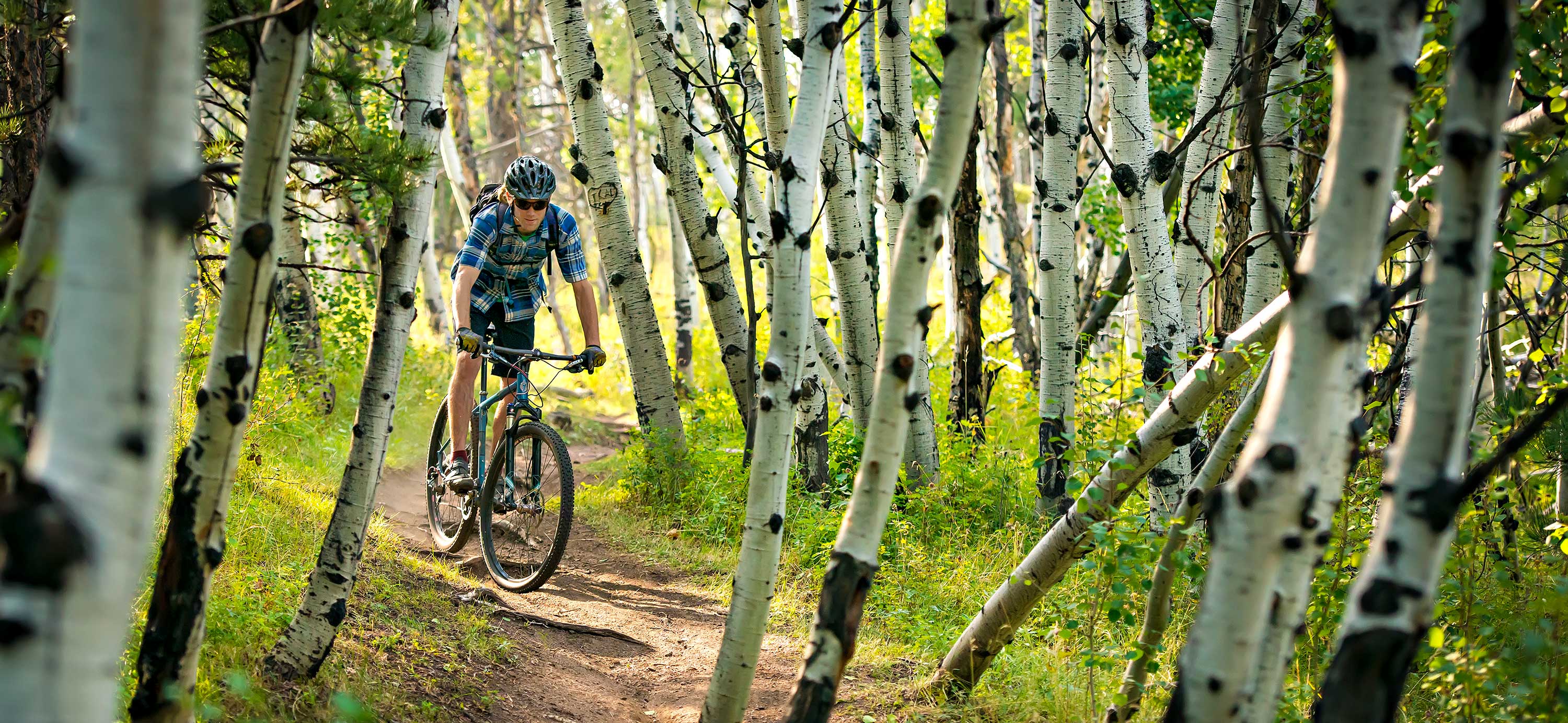 Mountain biker in trees