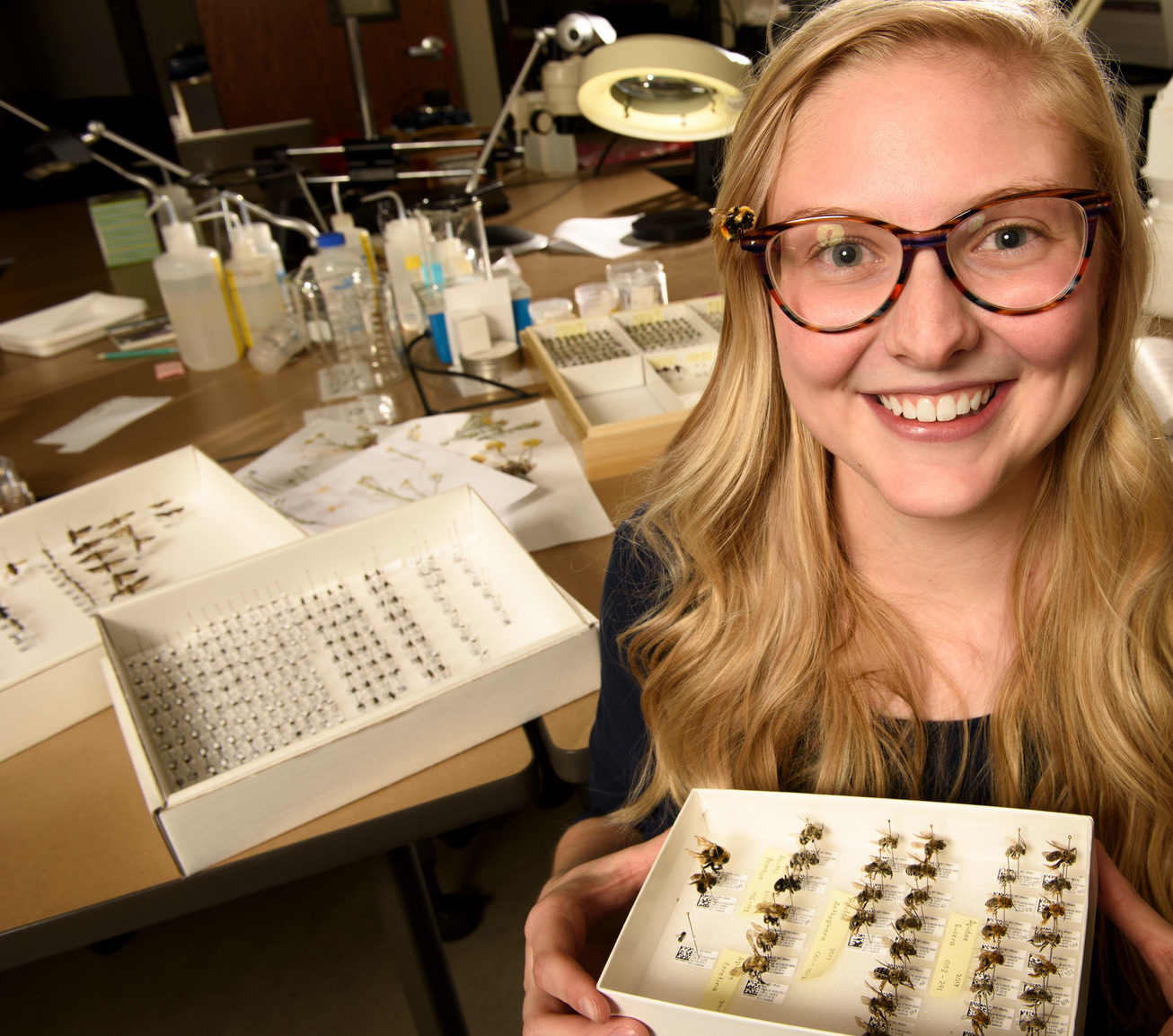 Student smiling with boxes of insects