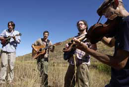 Bluegrass band playing