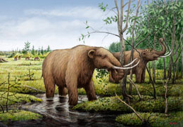 Painting of mastodons