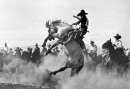 Cowboy riding a bronco