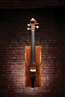 Small string instrument