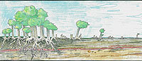 Painting of trees
