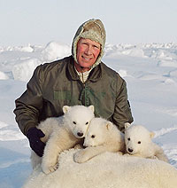 Man with polar bears