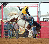 man riding a bucking horse in a rodeo