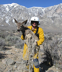 man in helmet holding a live captured deer, with mountains in background