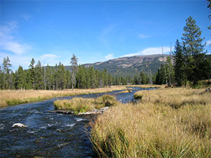 river running through mountain meadow