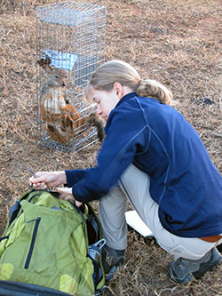 woman with backpack in front of live trap with a jackal in it