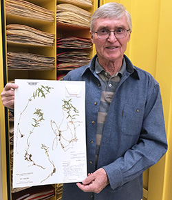 man holding a drawing of plants