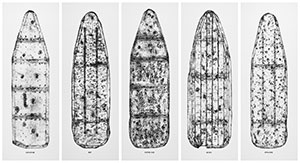 prints of ironing boards