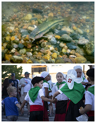 photo of a fish and photo of children dancing