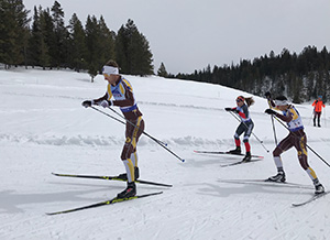 people cross-country skiing