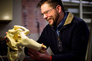 man holding fossil animal skull