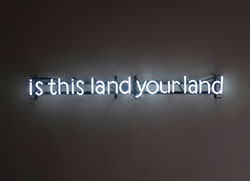 neon sign that says is this land your land