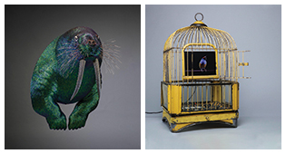 two artworks of constructed creatures - a walrus and a bird in a cage