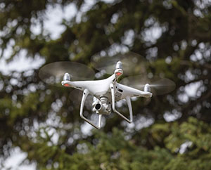 drone in front of fir branches