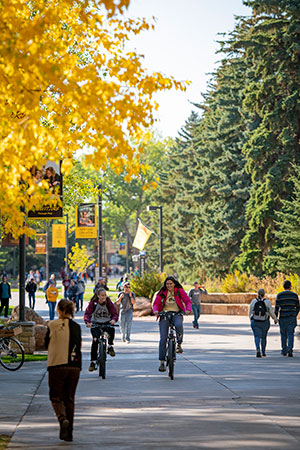 people biking on walking on campus