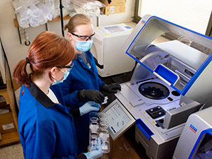 two people working in a lab