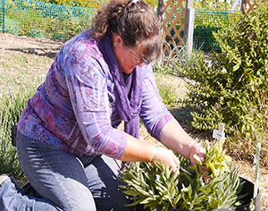 woman kneeling down to work with a plant