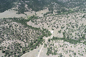 overhead view of archaeological site