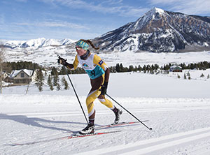 person Nordic skiing