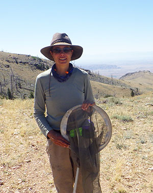 woman holding an insect net on a hillside