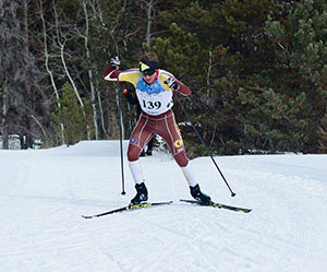 person skiing Nordic style