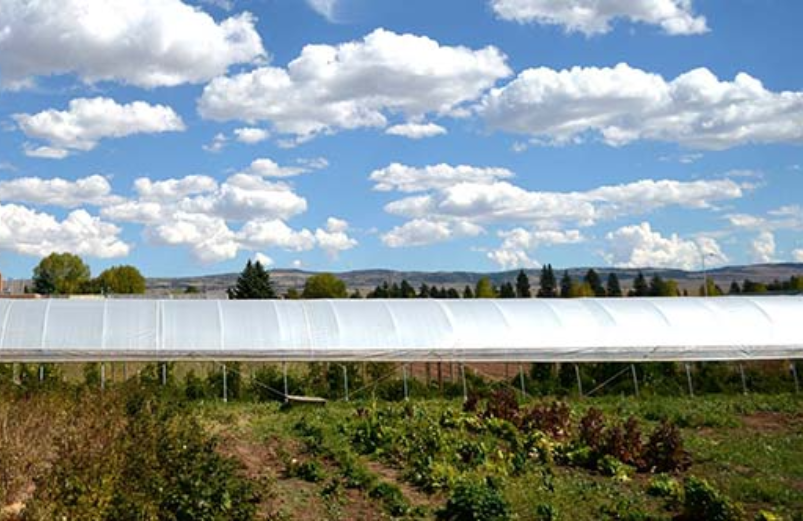 long hoop house