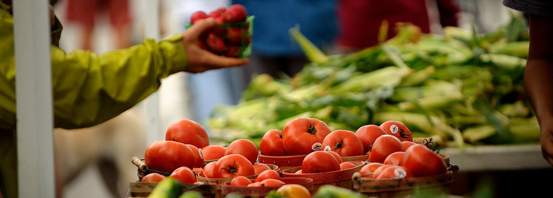 baskets of tomatoes with person holding radishes in background