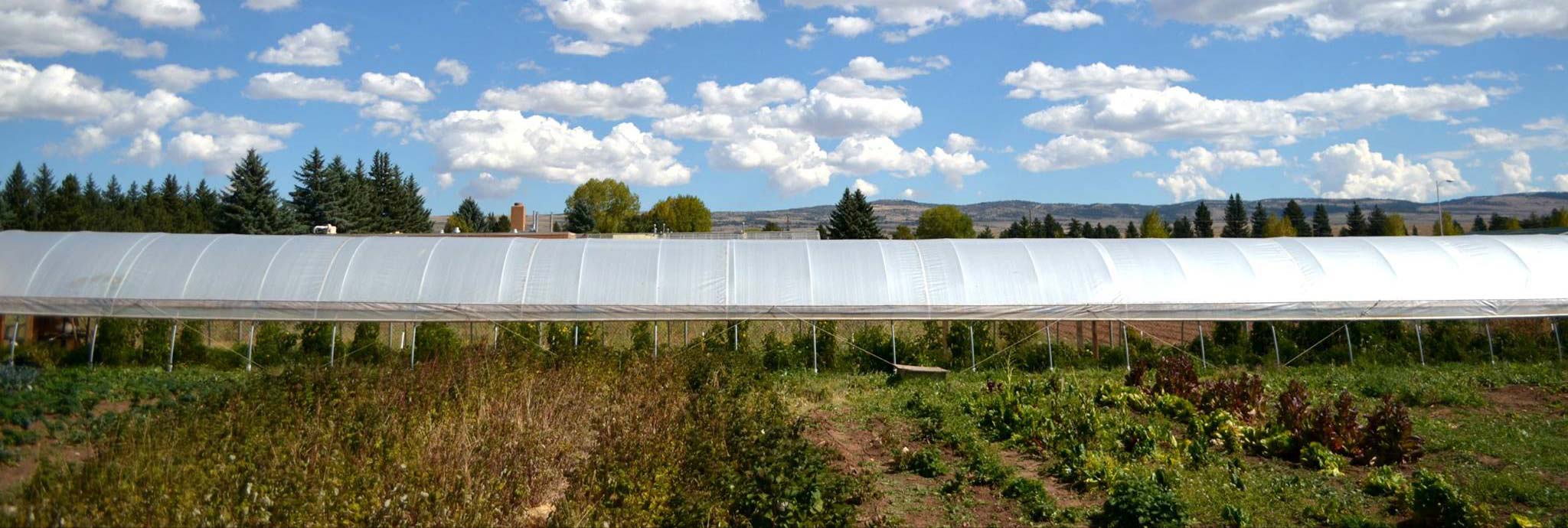 side view of a long hoop house