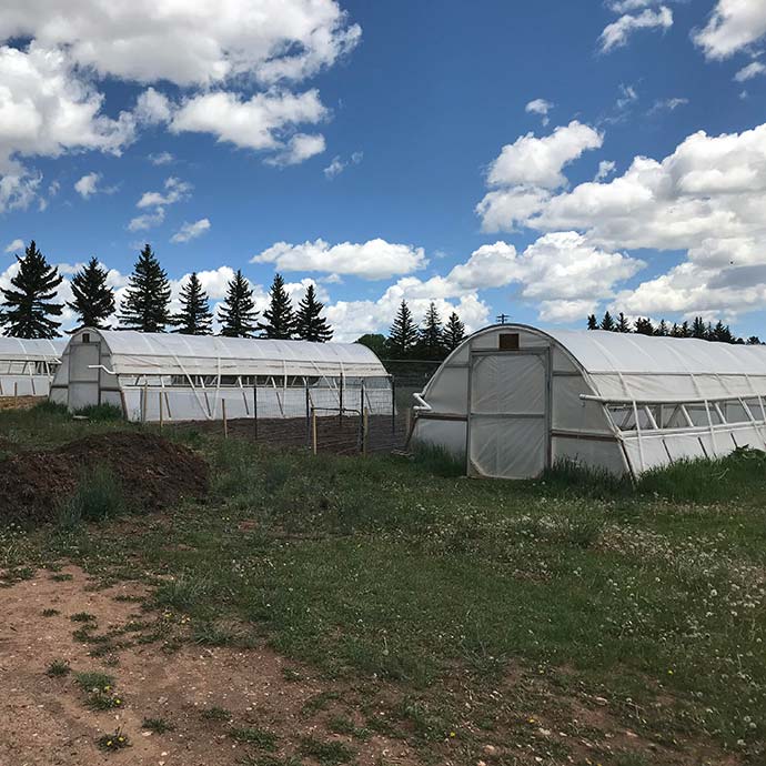 view of short hoop houses at ACRES Student Farm
