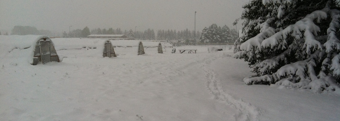 hoop houses at ACRES covered in snow