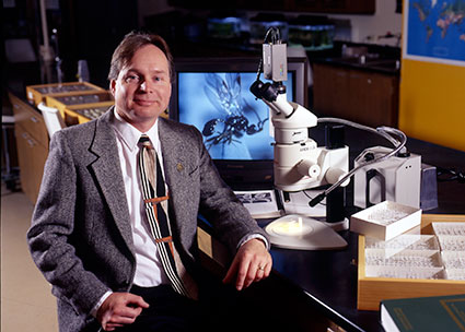 Scott Shaw in his entomology lab