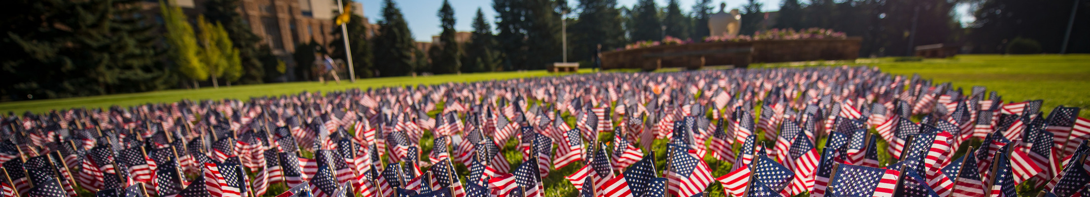 American flags covering prexy's pasture