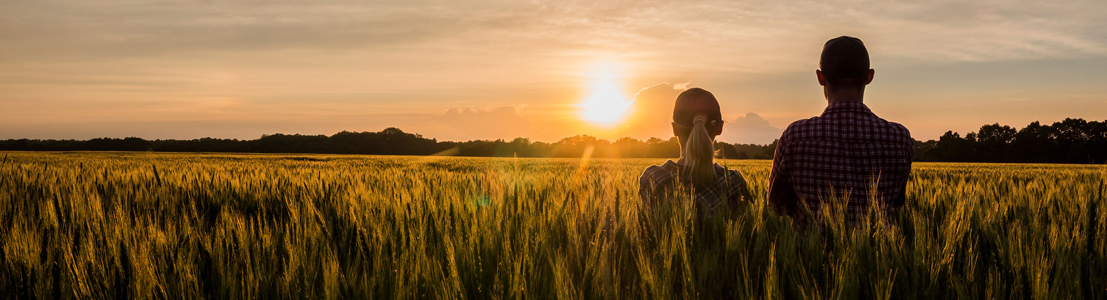 Farming couple watching sunset