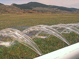 WY Demand Mgmt Feasibility