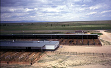 Laramie R&E Center - Livestock pens
