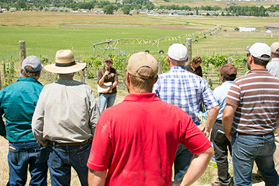 Group of people listening to researcher in field