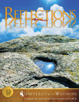 2011 Reflections