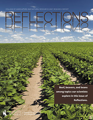 Reflections 2021 Cover