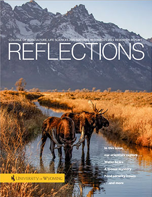 2022 Reflections Cover