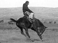 Guy Holt riding bucking horse
