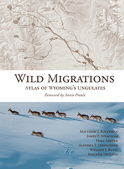 Wild Migrations book cover