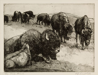 artwork with bison