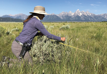 woman kneeling in prairie collecting samples