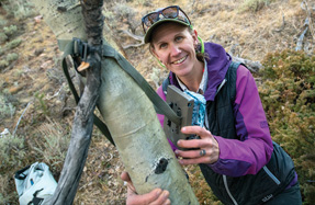 woman hanging something on a tree trunk